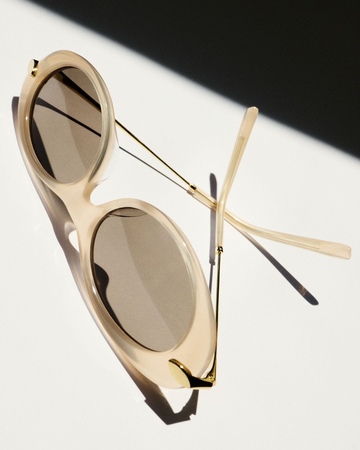 01_STILL_LIFE_0115_4x5_glasses